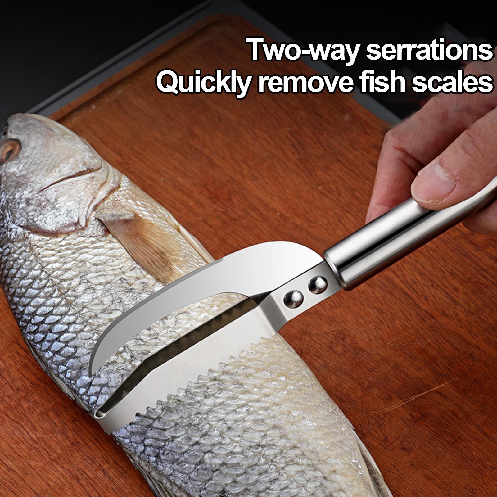 Cuchillo para quitar escamas d - Kitchen Gadget Amazon reseña y precio