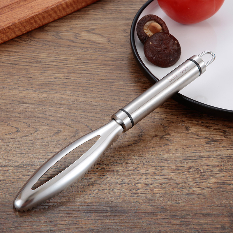 Ralladores de raspado de escam - Kitchen Gadget Amazon reseña y precio